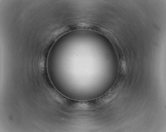 X0000115830668200911131506