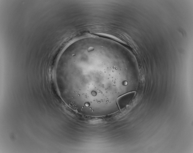 X0000115830669200911131506