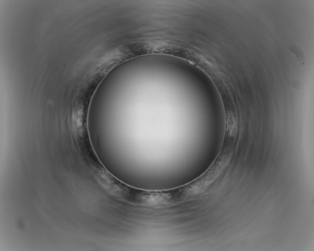 X0000115830670200911131506