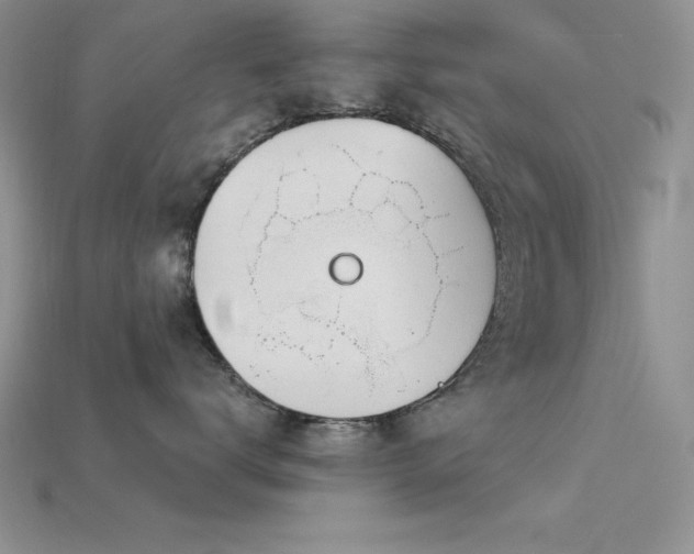 X0000115830672200911131506