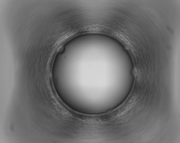 X0000115830673200911131506