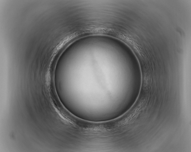 X0000115830674200911131506