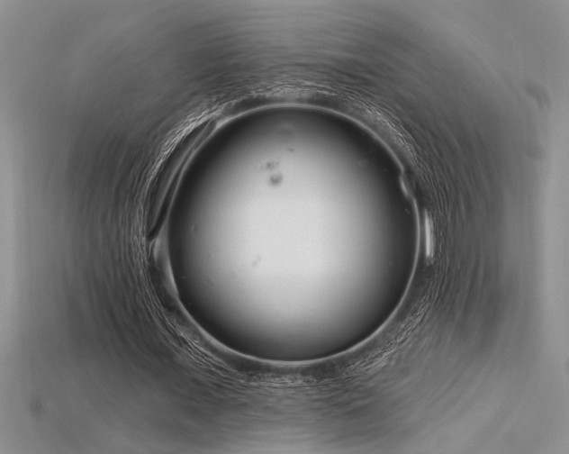 X0000115830675200911131506