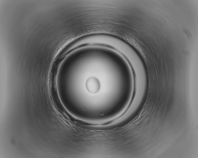 X0000115830676200911131506