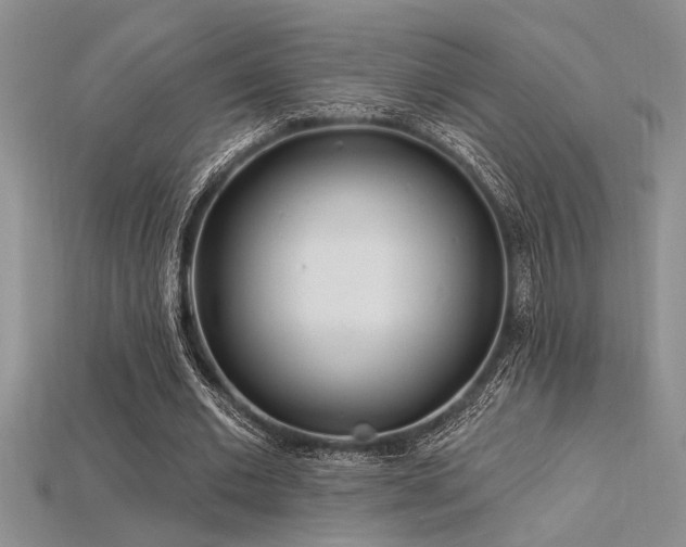 X0000115830677200911131506