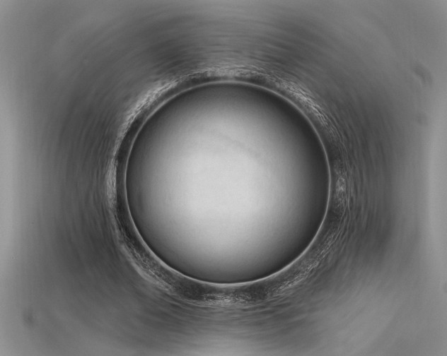 X0000115830678200911131506