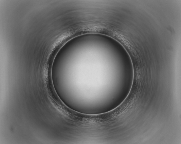 X0000115830679200911131506