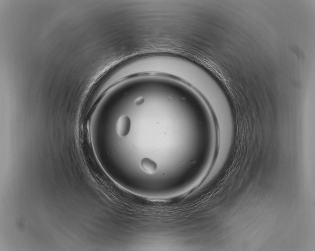 X0000115830680200911131506