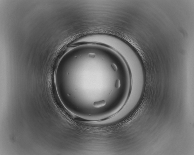 X0000115830681200911131506