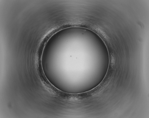 X0000115830684200911131506