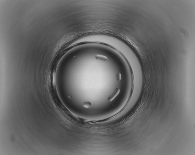 X0000115830685200911131506