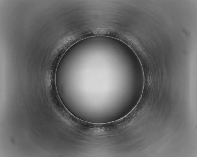 X0000115830687200911131506