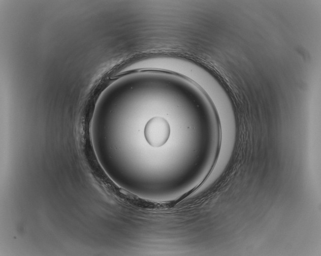 X0000115830688200911131506