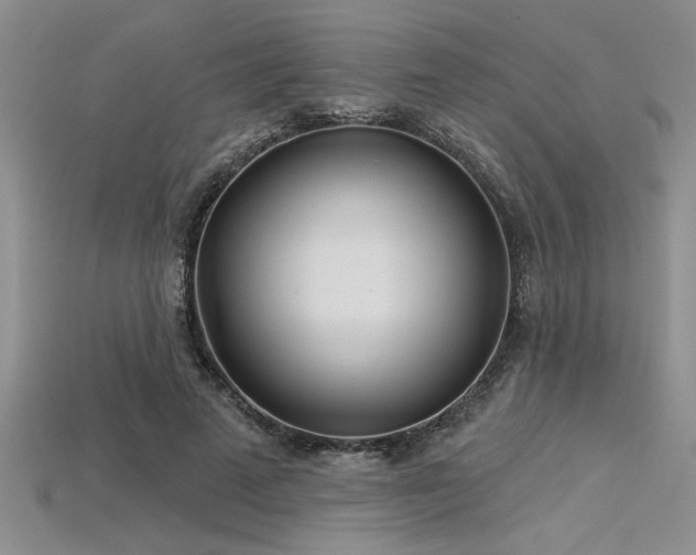 X0000115830689200911131506