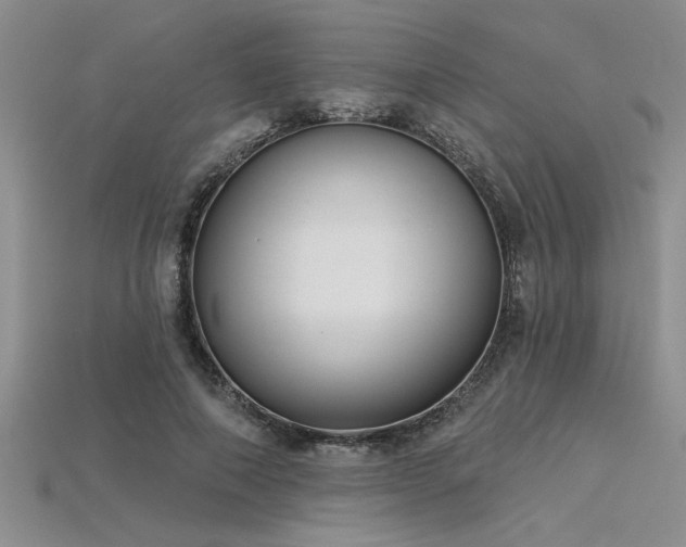 X0000115830690200911131506