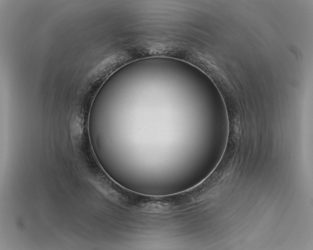 X0000115830691200911131506