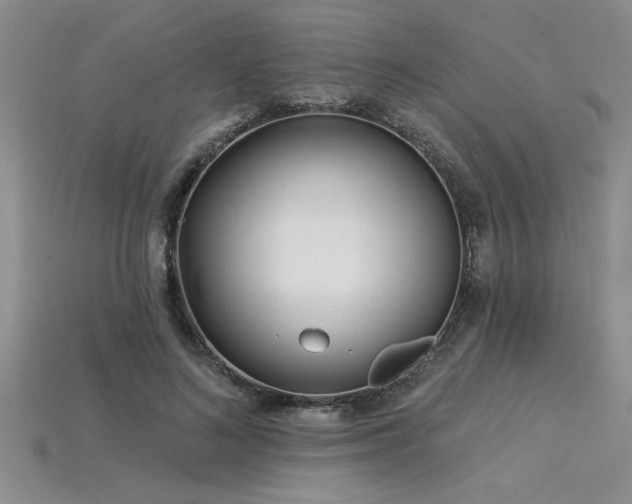 X0000115830692200911131506