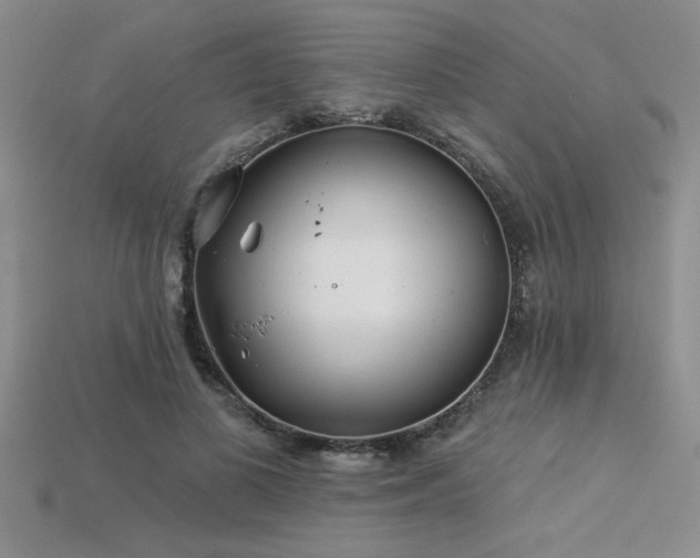 X0000115830693200911131506