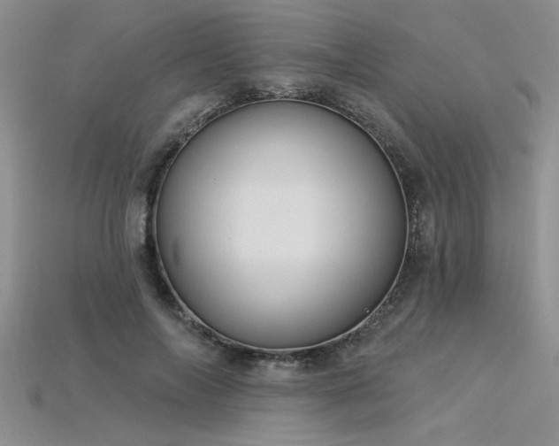 X0000115830694200911131506