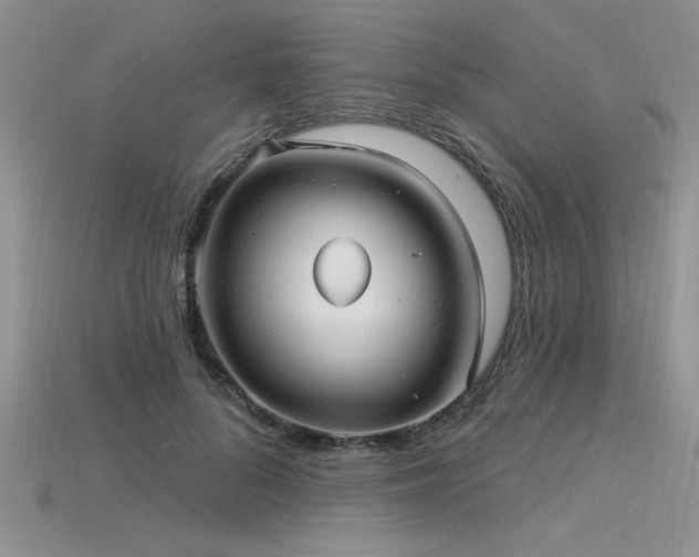 X0000115830696200911131506