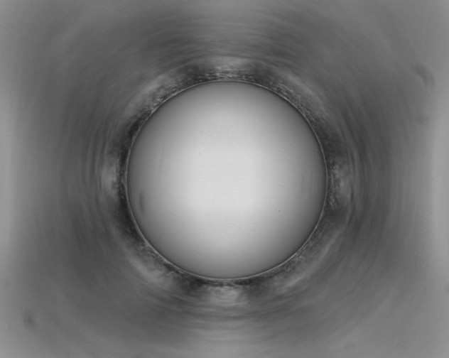 X0000115830698200911131506