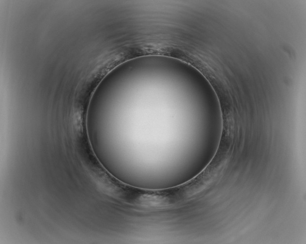 X0000115830699200911131506