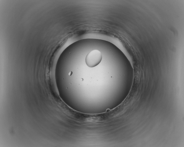 X0000115830700200911131506