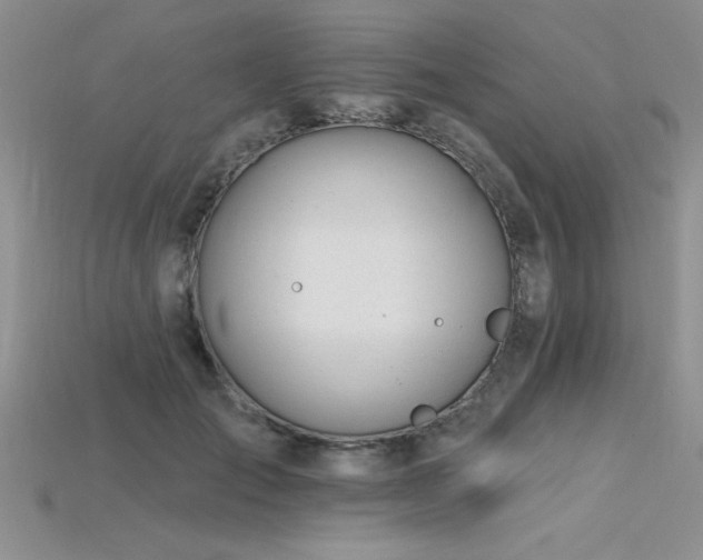 X0000115830701200911131506