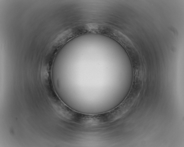 X0000115830702200911131505