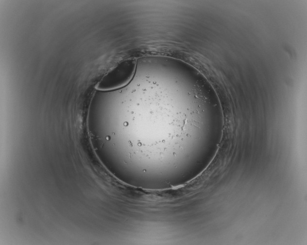 X0000115830703200911131505