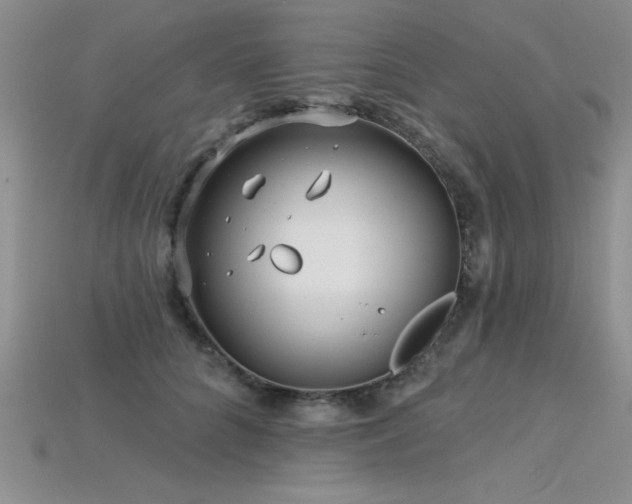 X0000115830704200911131505