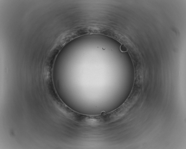 X0000115830706200911131505