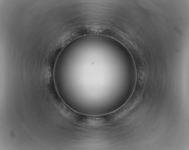 X0000115830707200911131505