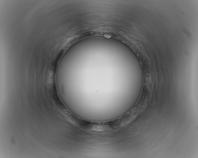 X0000115830708200911131505