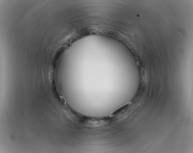 X0000115830712200911131505