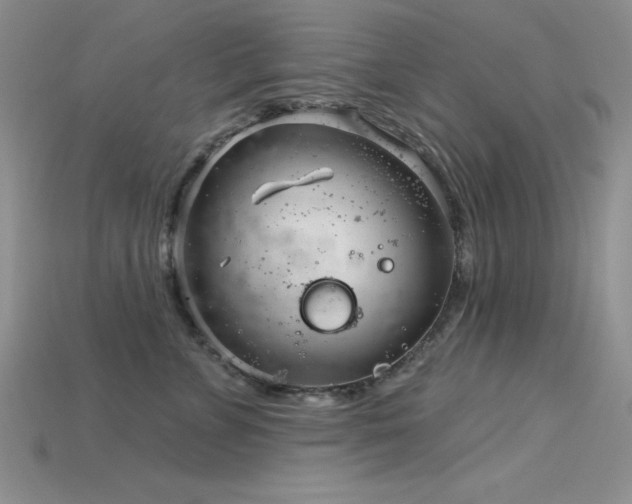 X0000115830715200911131505