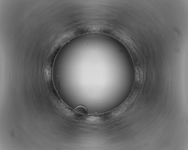 X0000115830718200911131505