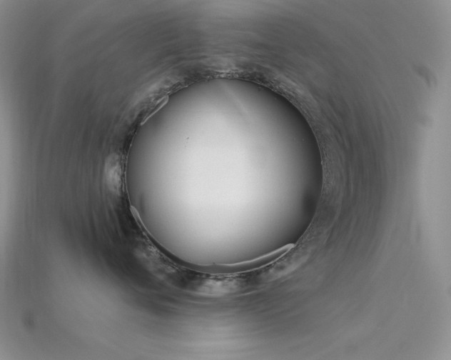 X0000115830720200911131505