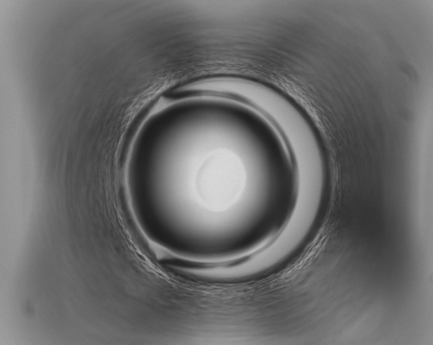 X0000115830721200911131505