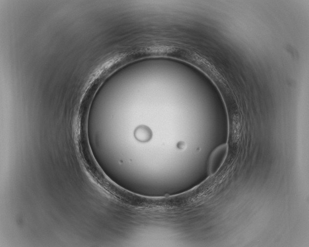 X0000115830726200911131505