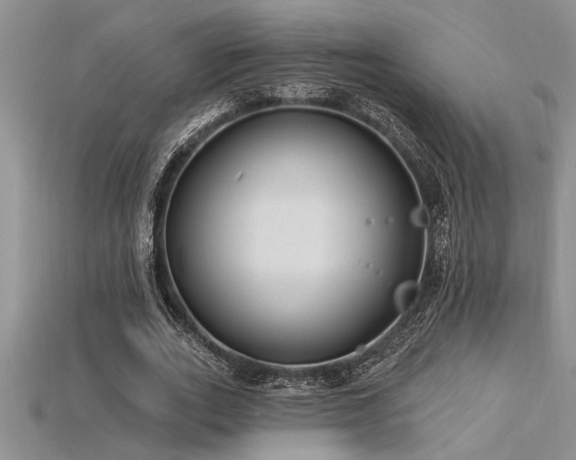 X0000115830727200911131505