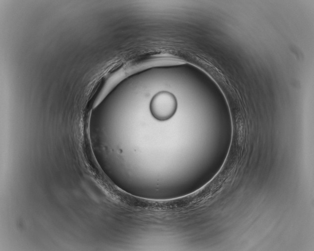 X0000115830729200911131505