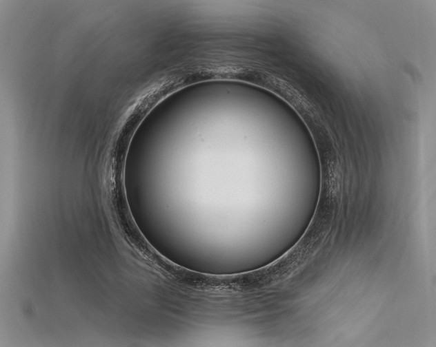 X0000115830731200911131505