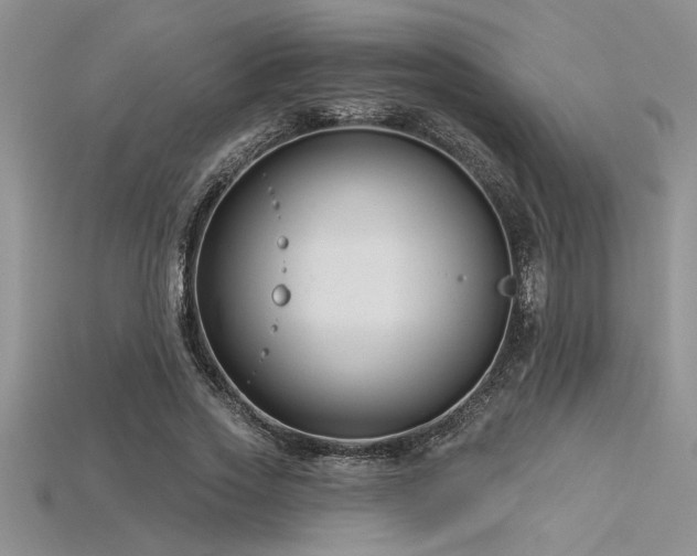 X0000115830733200911131505