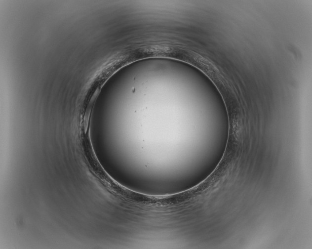 X0000115830735200911131505