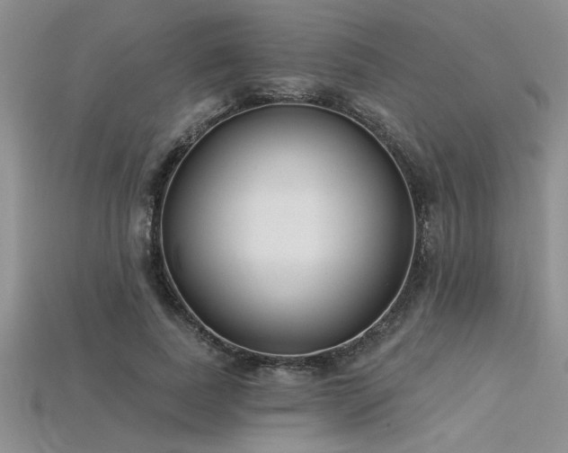 X0000115830739200911131505