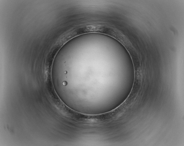 X0000115830741200911131505