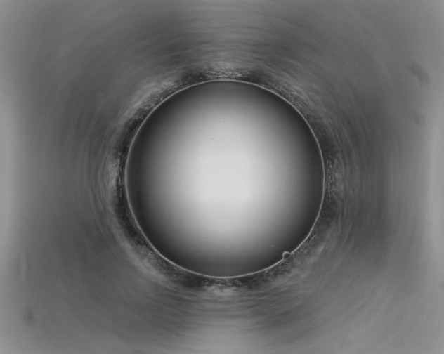 X0000115830742200911131505