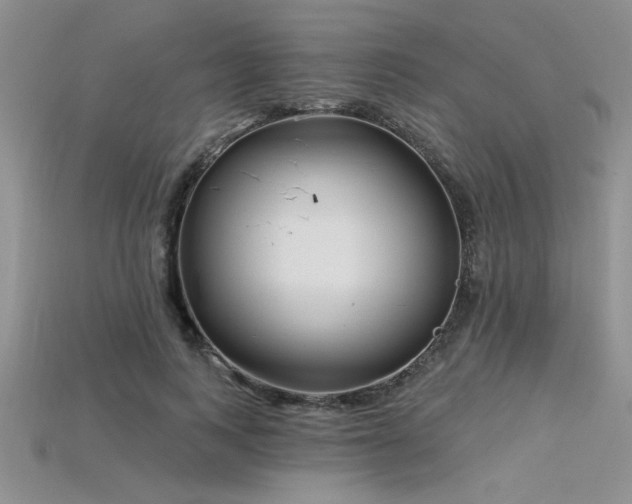 X0000115830743200911131505