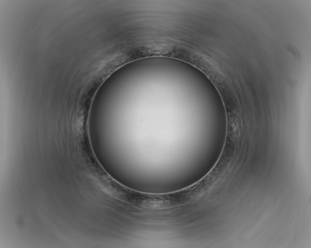 X0000115830745200911131505